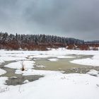 Winter im Hohen Venn