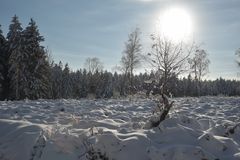 Winter im Hohen Venn