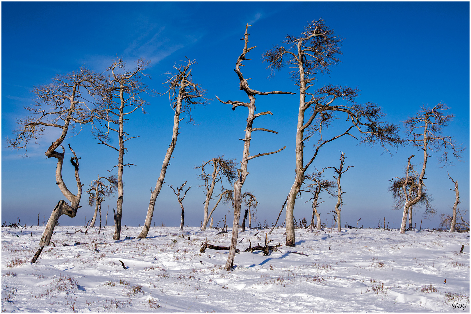 Winter im hohen Venn ...