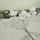 Winter im Hotzenwald