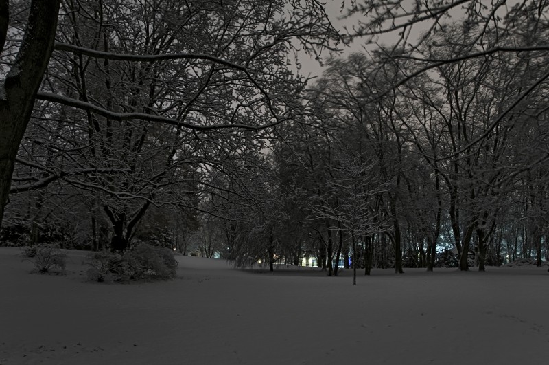 Winter im Humboldthain (01)