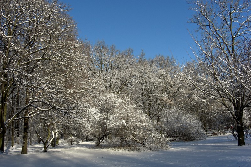 Winter im Humboldthain (09)