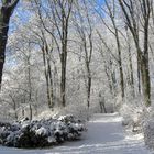 Winter im Humboldthain (10)