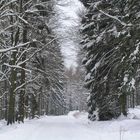 Winter im Hunsrück