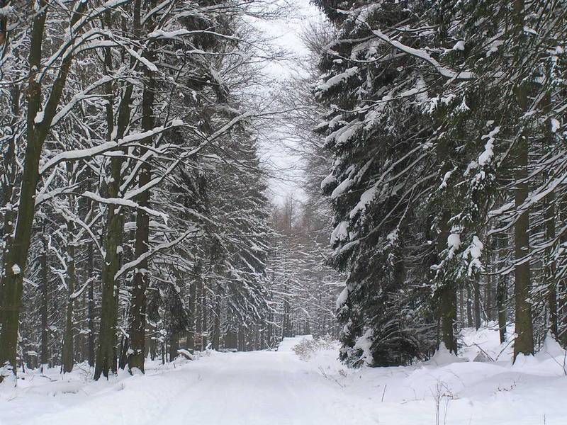 Winter im Hunsrück