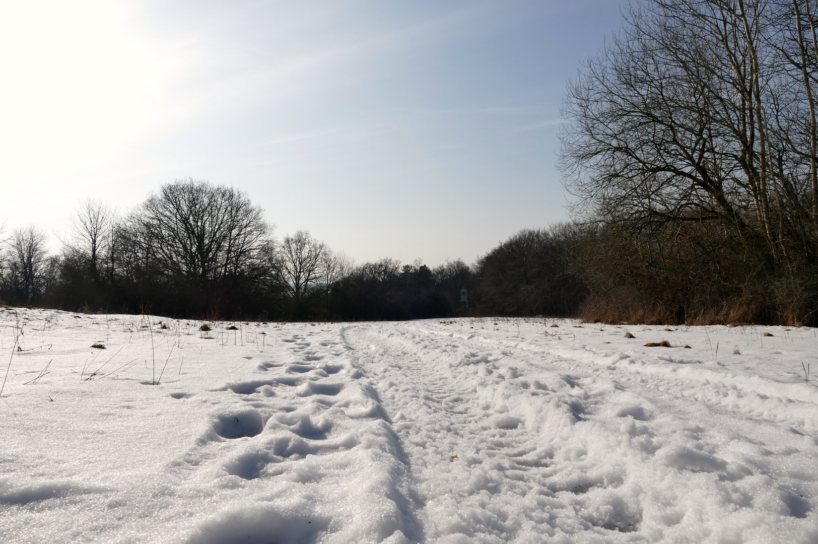 Winter im Hunsrück