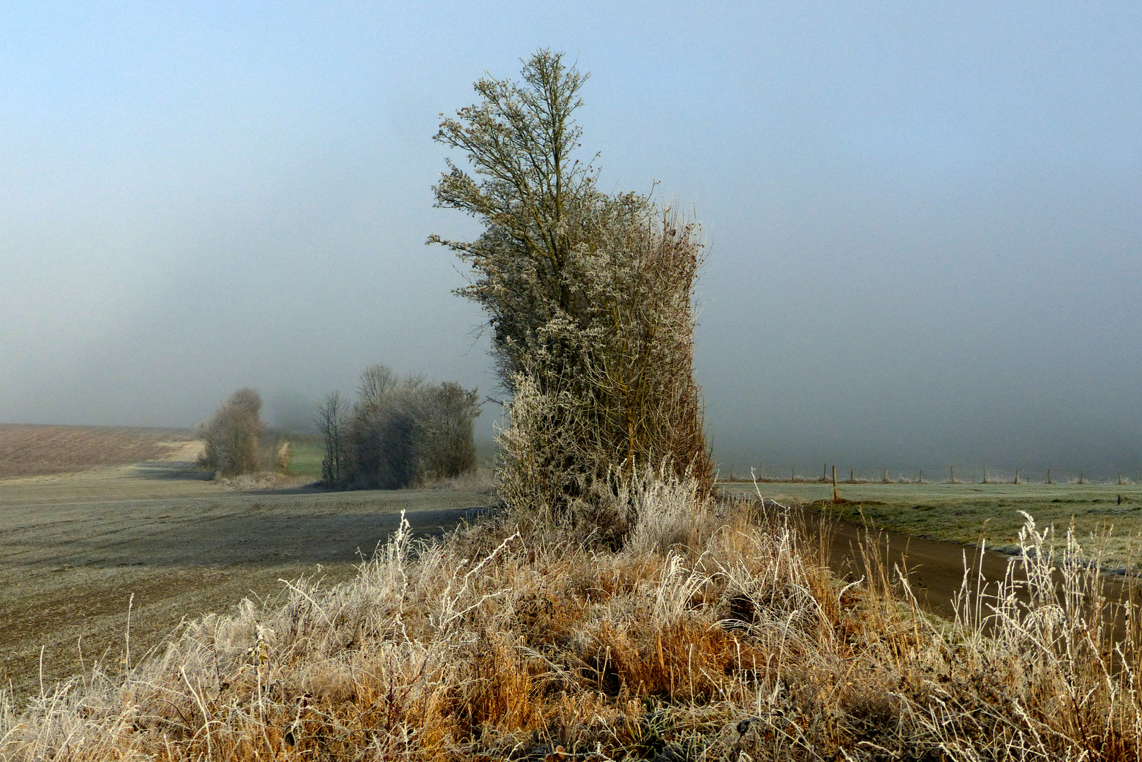 °°°° Winter im Hunsrück °°°°