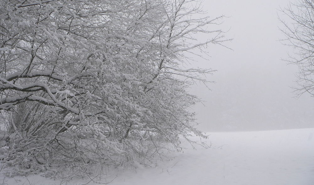 Winter im Hunsrück