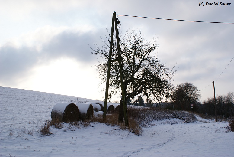 Winter im Hunsrück