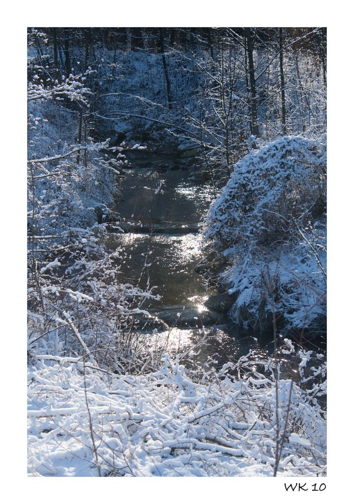 Winter im Iller-Auwald