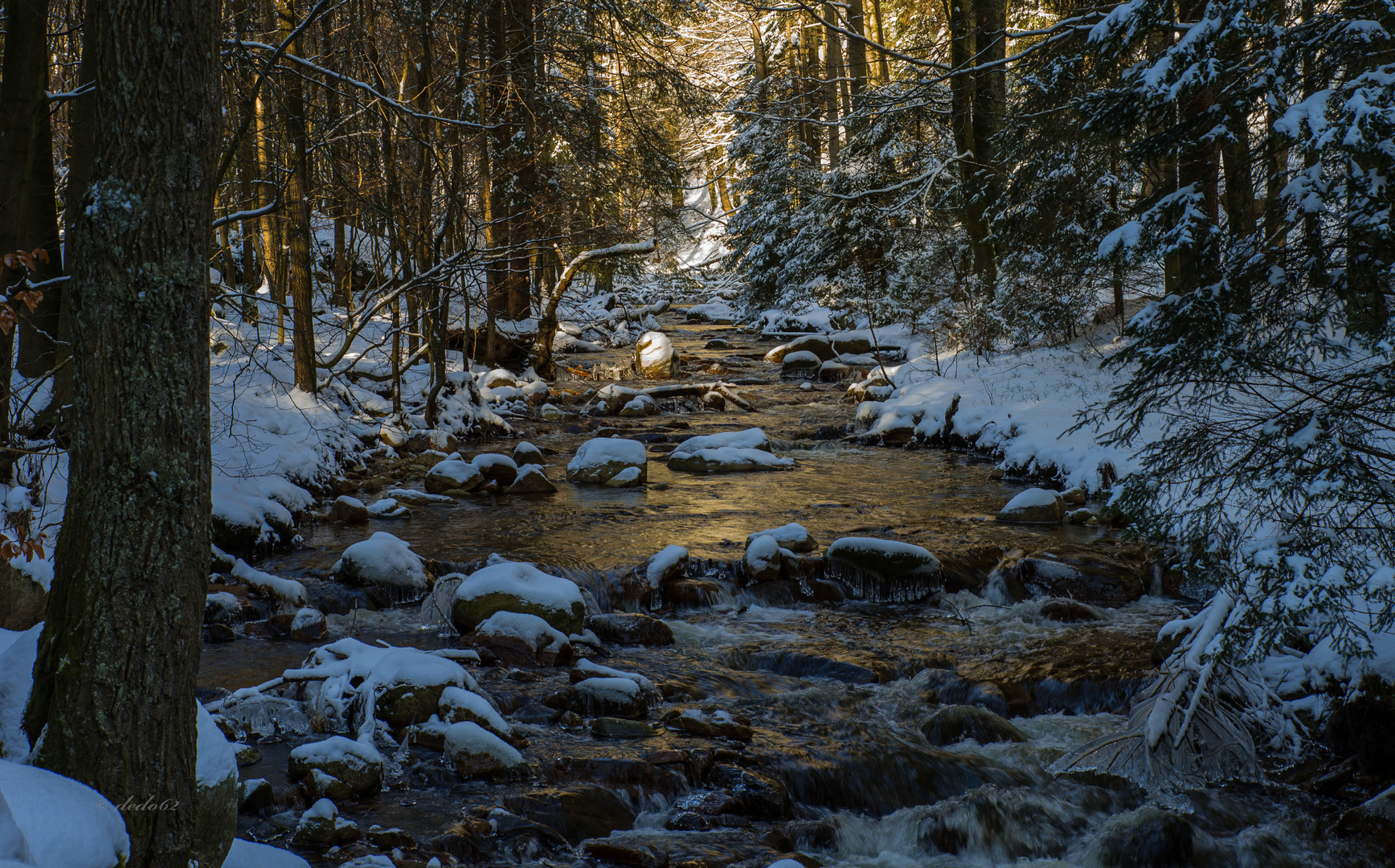 Winter im Ilsetal