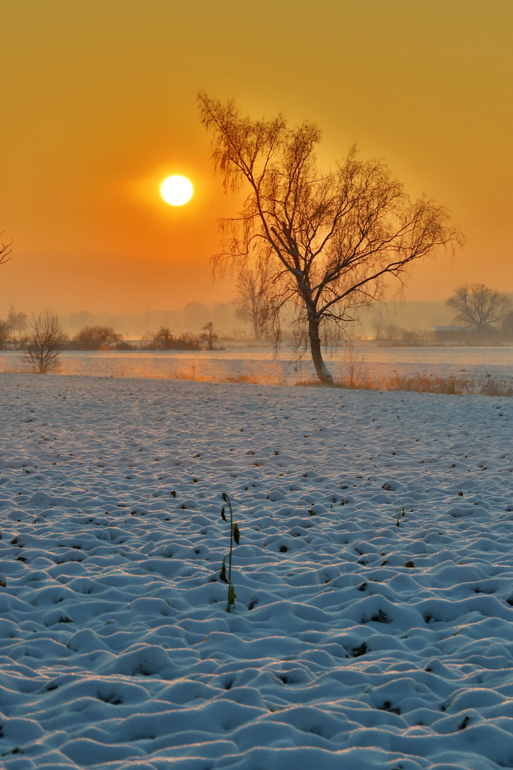 Winter im Isartal