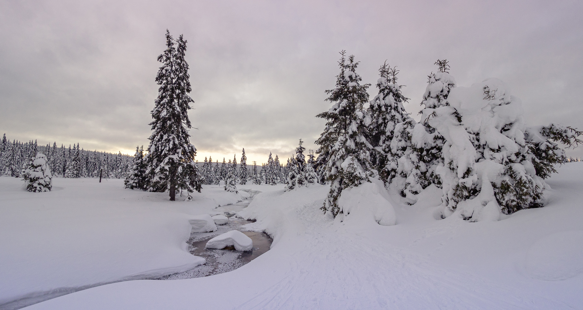 Winter im Isergebirge