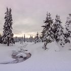 Winter im Isergebirge