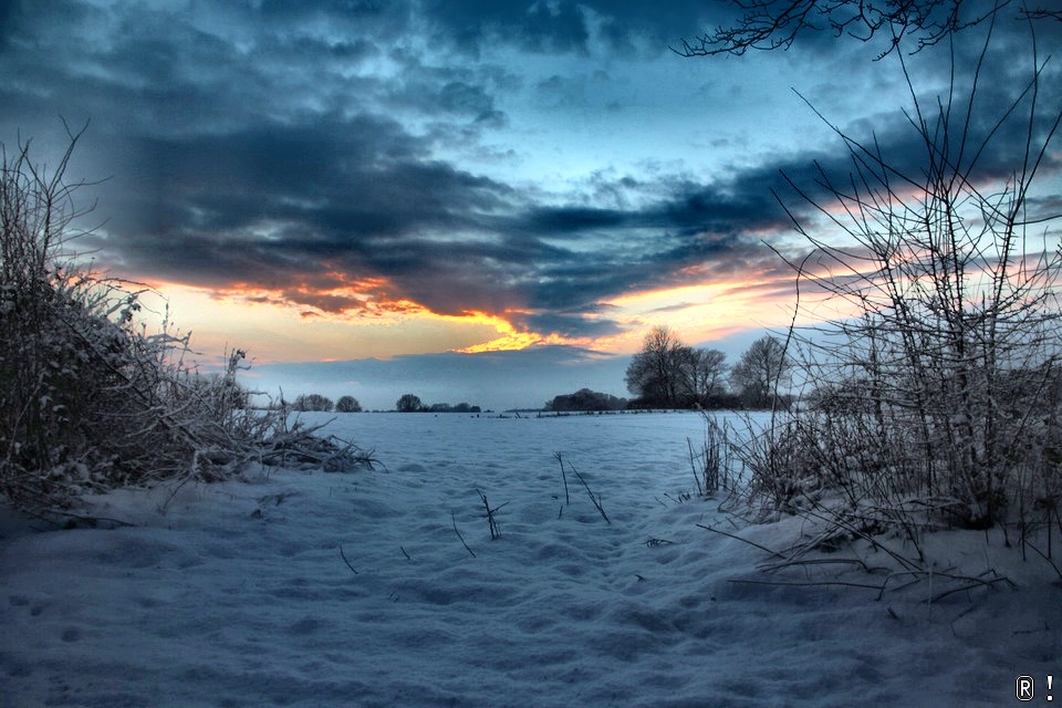 Winter im Januar 2013 bei Dänischenhagen