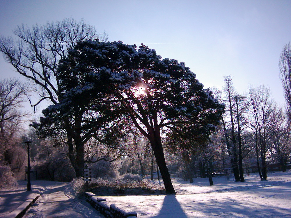 Winter im Januar !!!