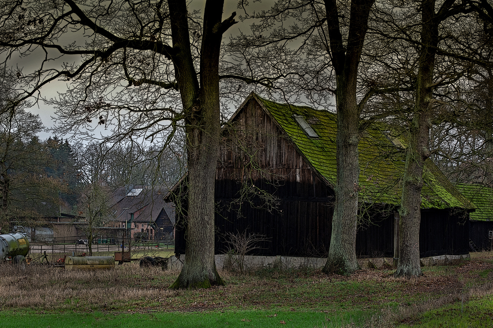 Winter im Januar