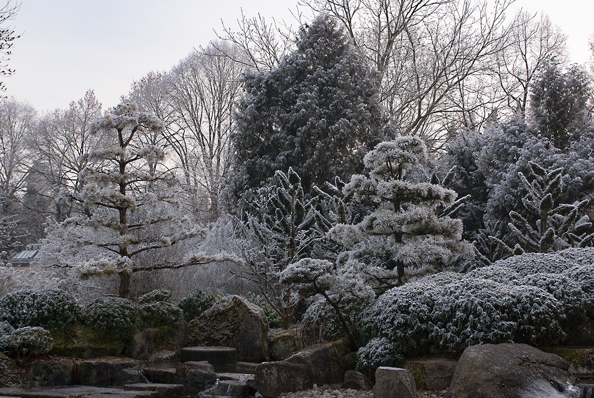 Winter im Japangarten