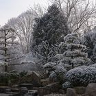 Winter im Japangarten