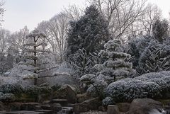 Winter im Japangarten