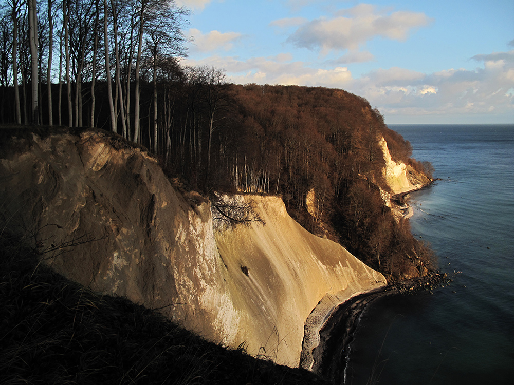 Winter im Jasmund Nationalpark 20