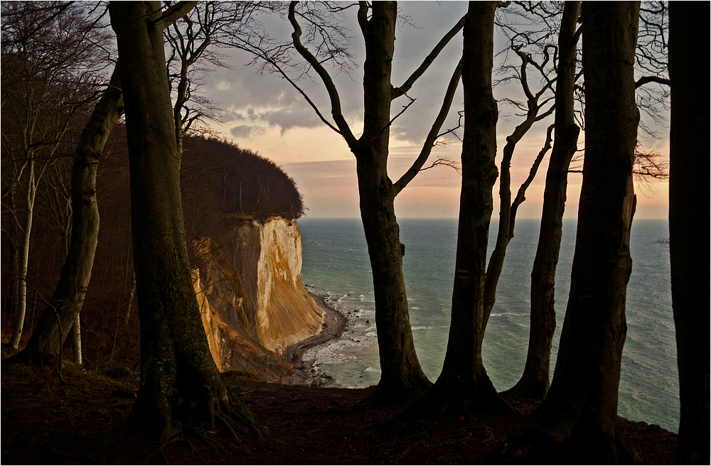 Winter im Jasmund Nationalpark 23