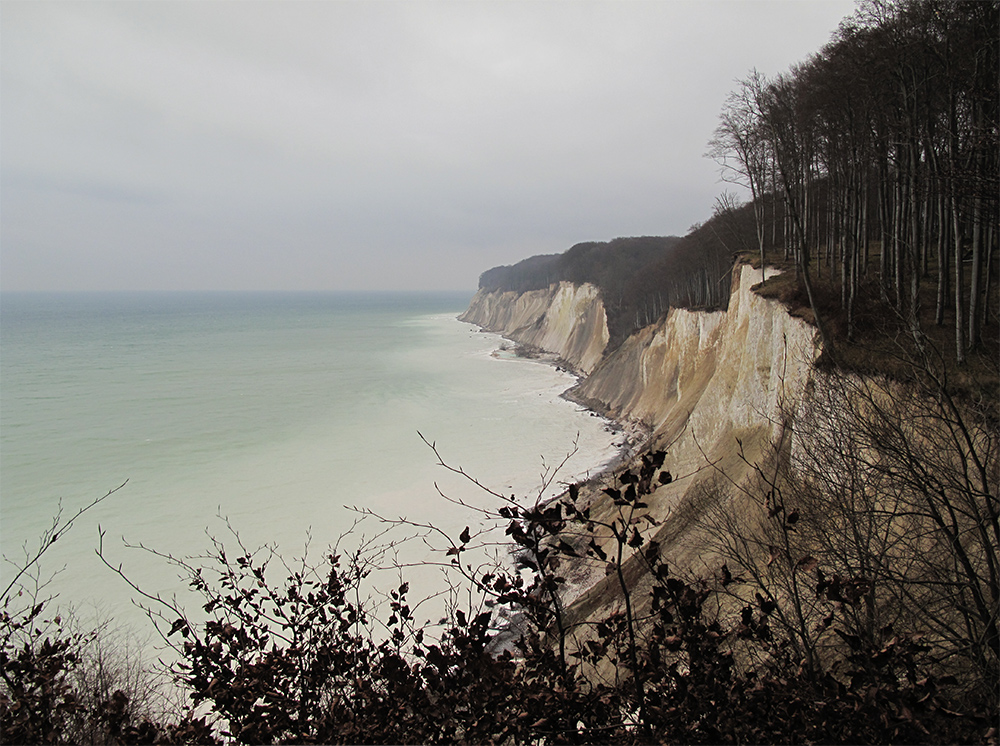 Winter im Jasmund Nationalpark 24