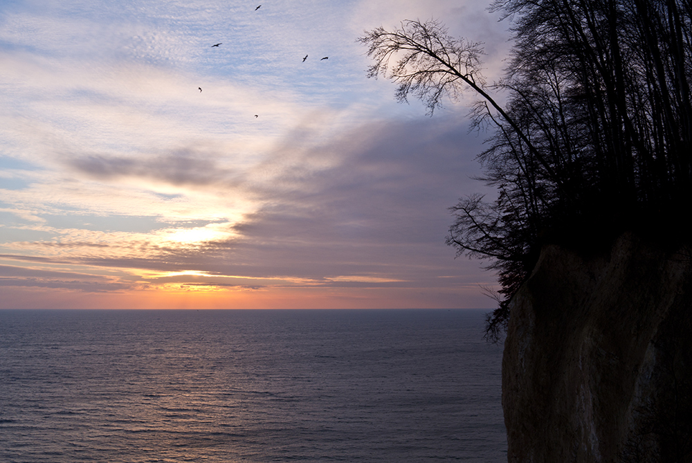 Winter im Jasmund Nationalpark 25