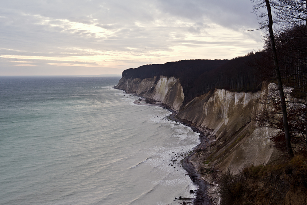 Winter im Jasmund Nationalpark