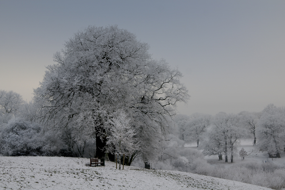 Winter im Jenischpark