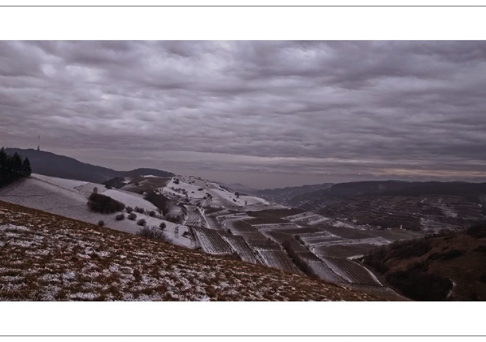 Winter im Kaiserstuhl