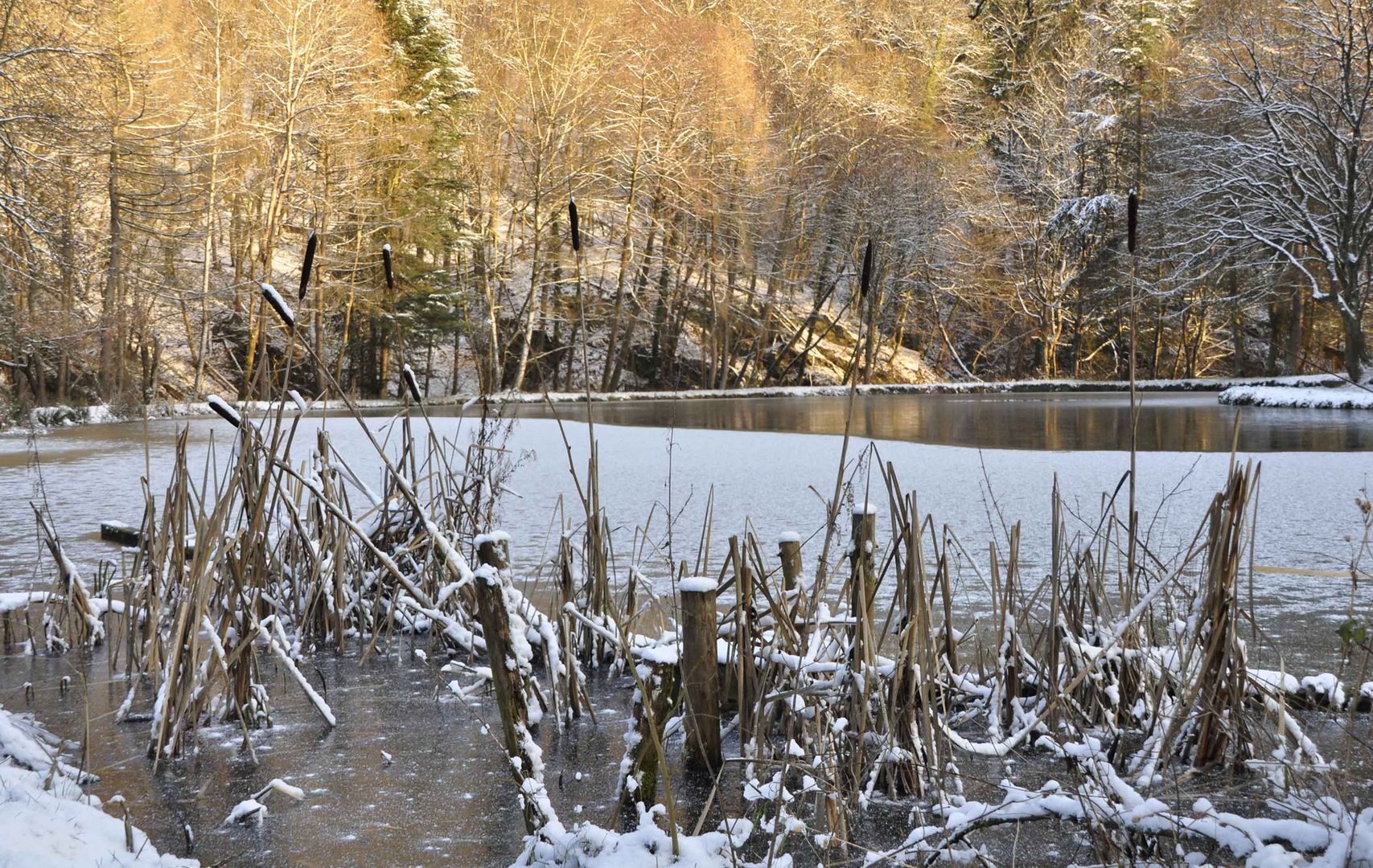 Winter im Kaltbachtal