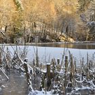 Winter im Kaltbachtal