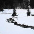 Winter im Kandertal-Südschwarzwald