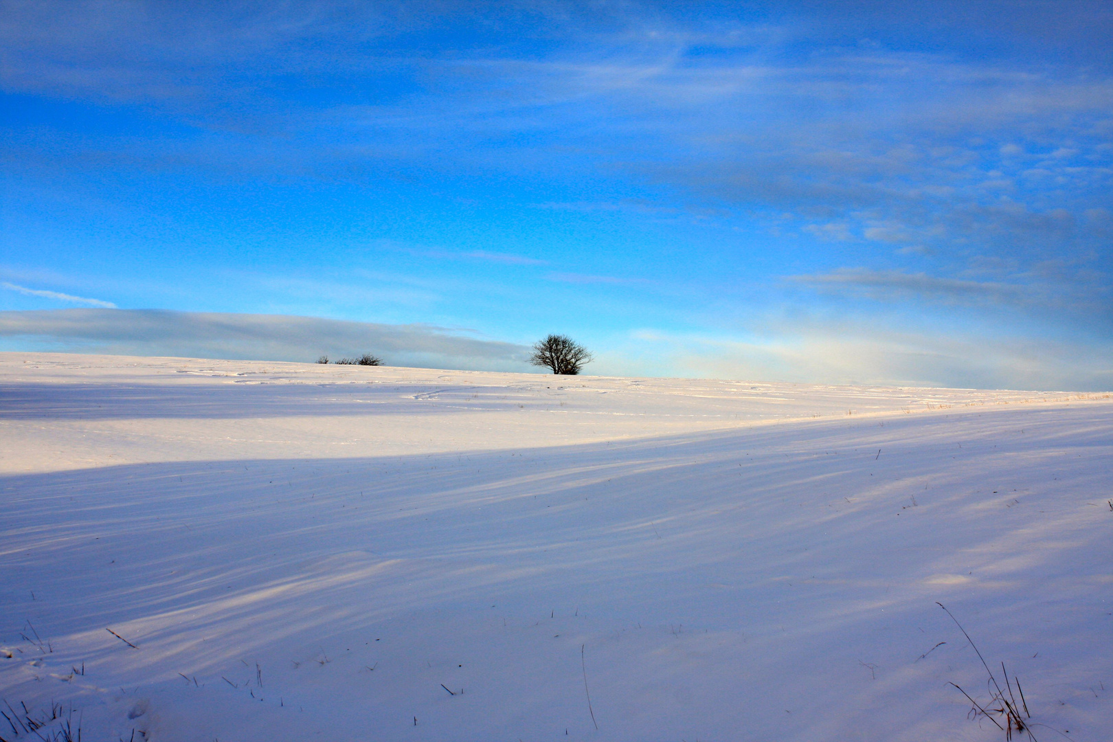 Winter im Kaufunger Wald