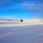 Winter im Kaufunger Wald