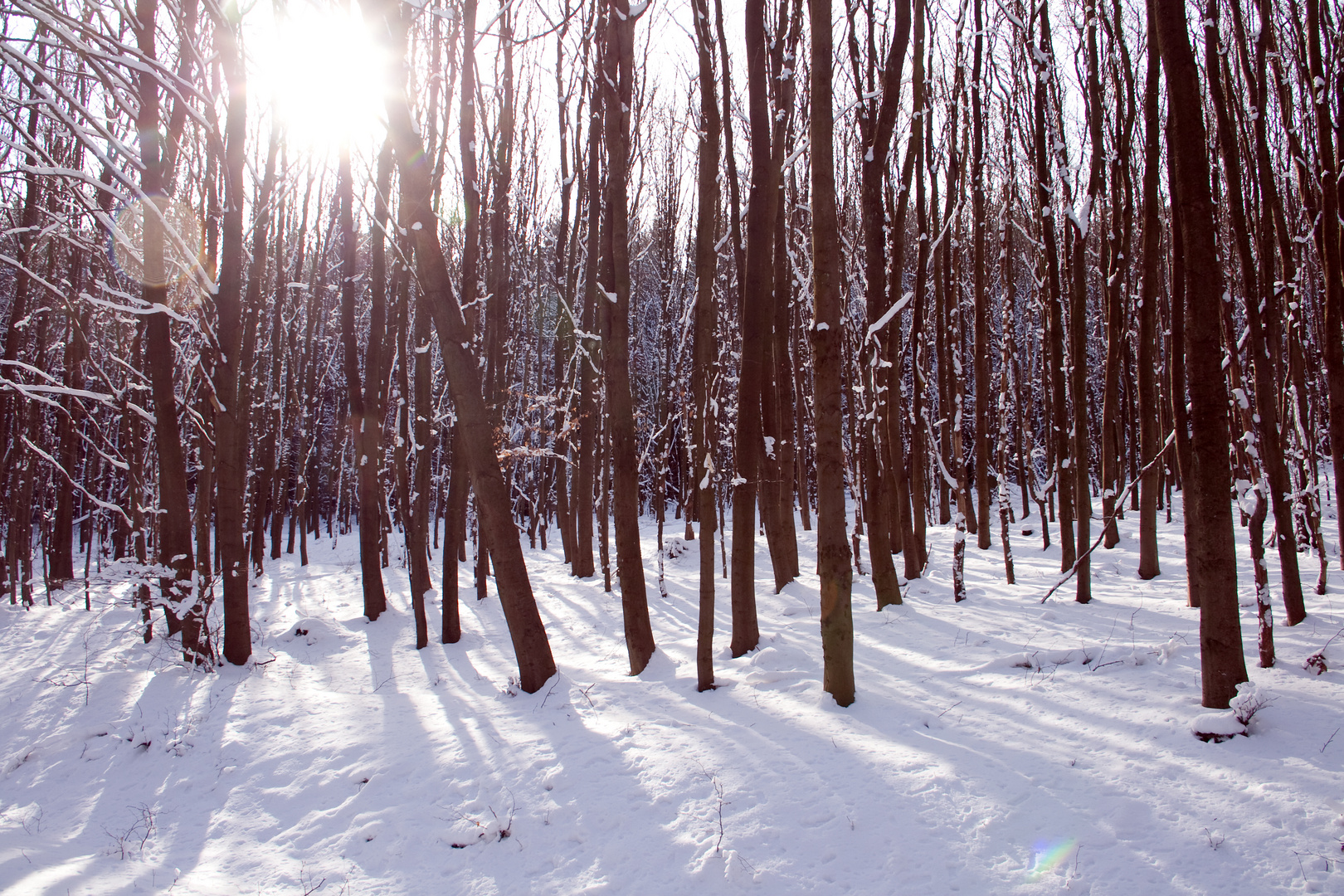 Winter im Kermeter