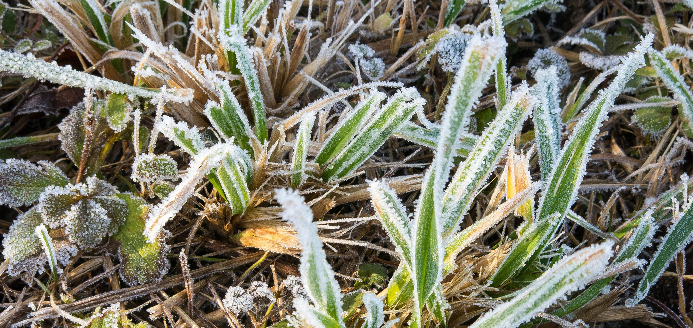 Winter im Kleinen