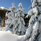 Winter im Kleinwalsertal