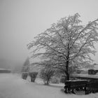 Winter im Klostergarten