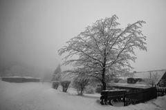 Winter im Klostergarten