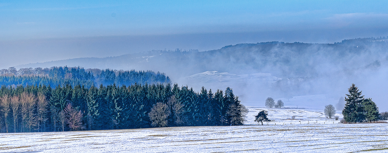 Winter im Knüll