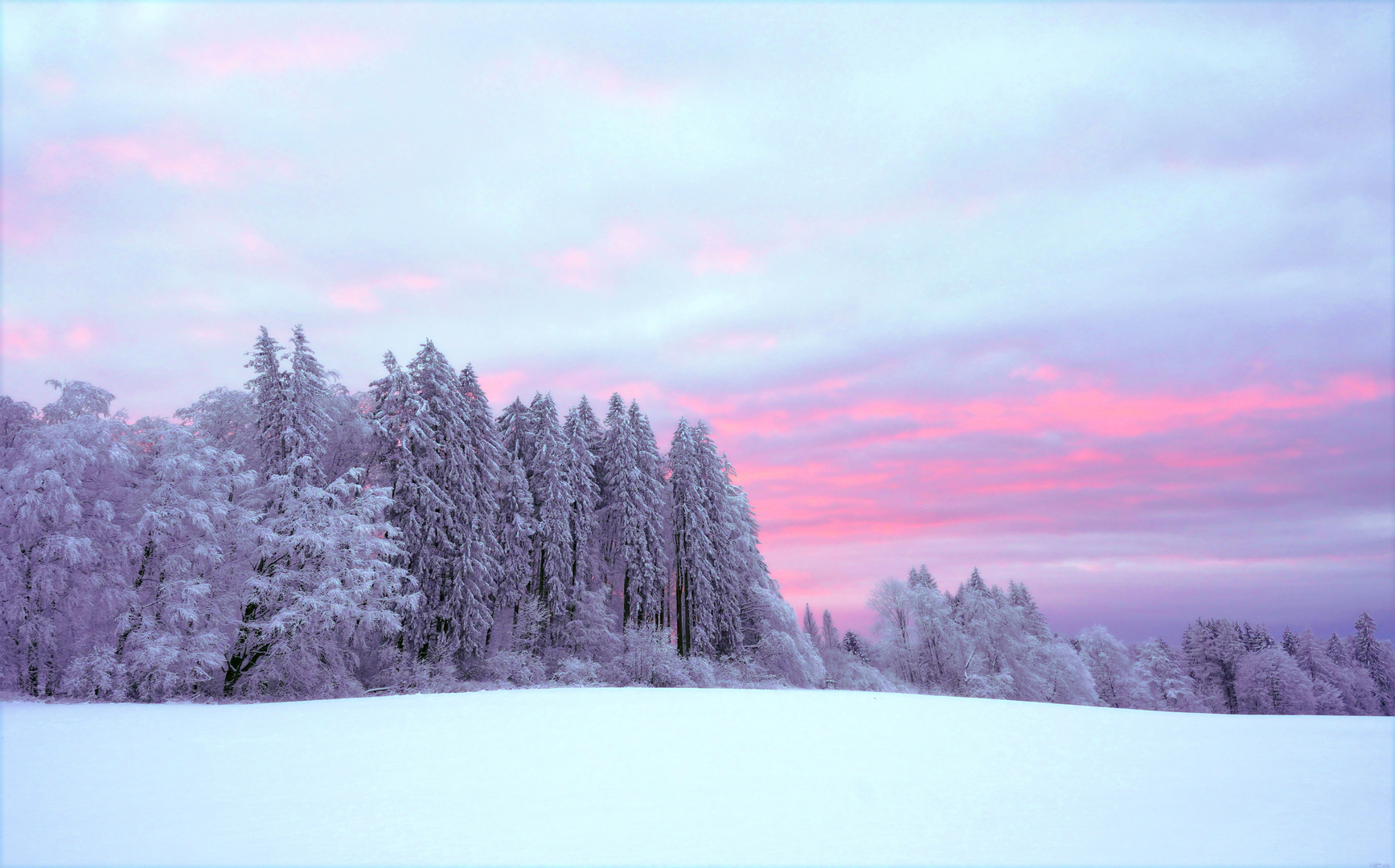 Winter im Knüllgebirge