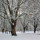 Winter im Kölner Grüngürtel