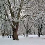 Winter im Kölner Grüngürtel
