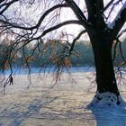 Winter im Kölner Grüngürtel