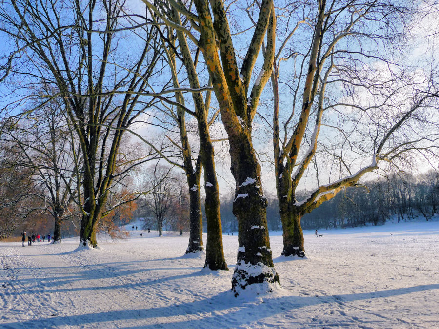 Winter im Kölner Grüngürtel - schon wieder Vergangenheit