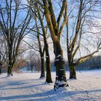 Winter im Kölner Grüngürtel - schon wieder Vergangenheit