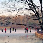 Winter im Kölner Stadtwald