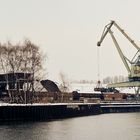 Winter im Kohlehafen (2)